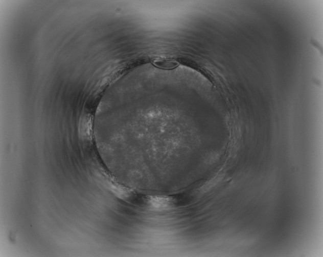 X0000102340336200808221636