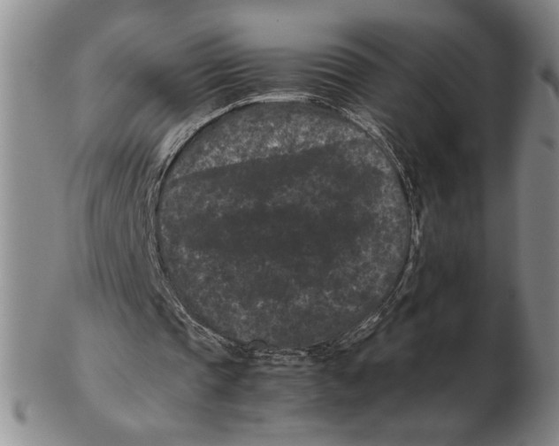 X0000102340337200808221635