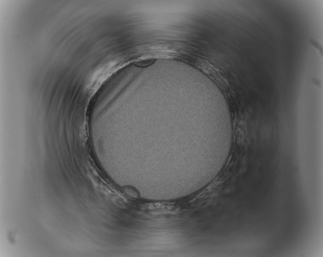 X0000102340338200808221636