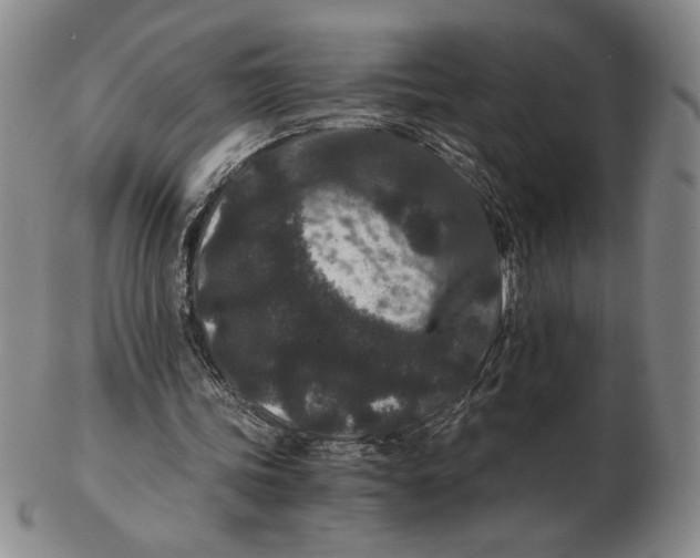 X0000102340339200808221636