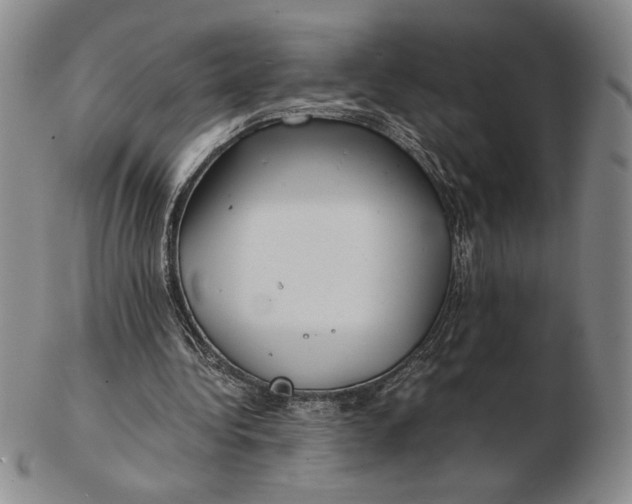 X0000102340340200808221636