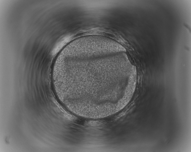 X0000102340341200808221636