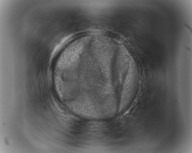 X0000102340343200808221636