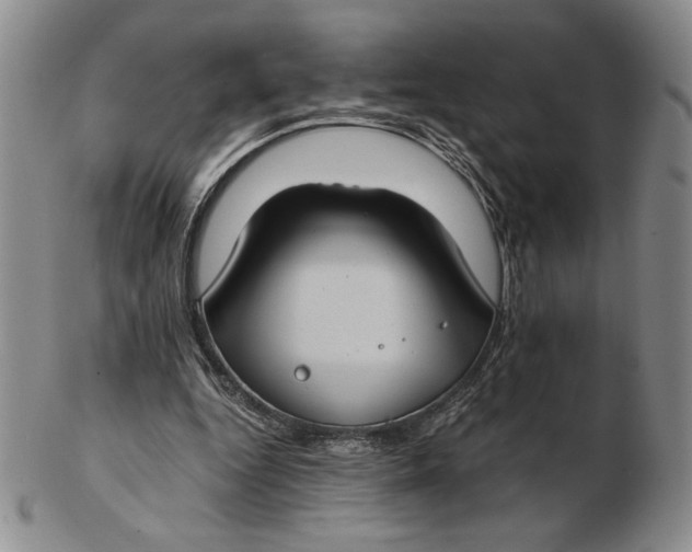 X0000102340344200808221636