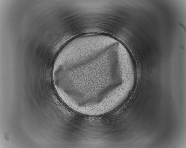 X0000102340345200808221636