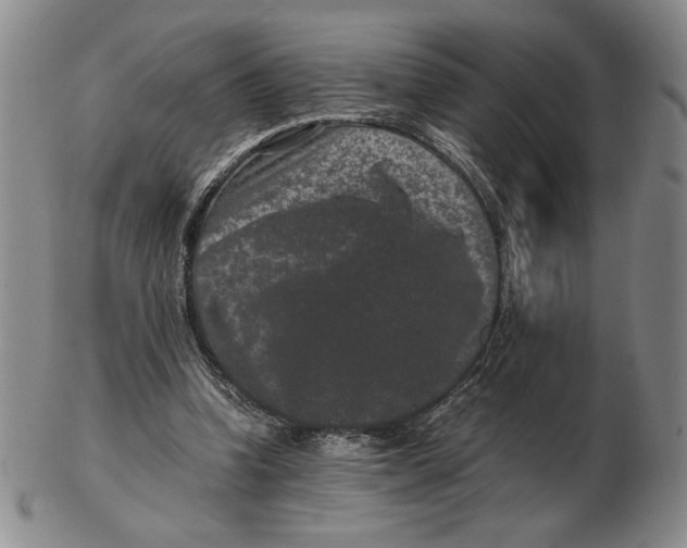 X0000102340346200808221636