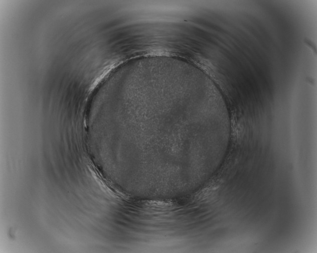 X0000102340347200808221636