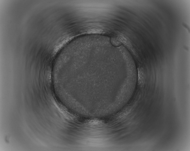 X0000102340348200808221636