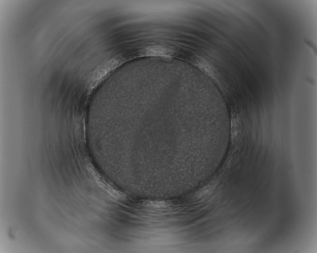 X0000102340349200808221636