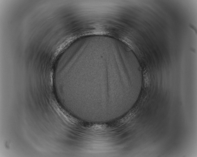 X0000102340350200808221636