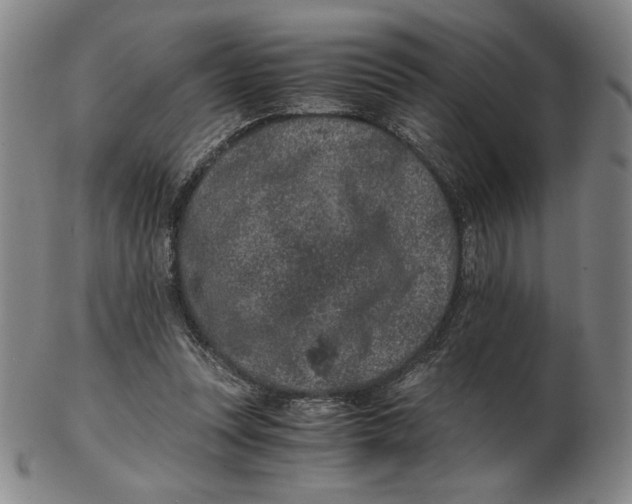 X0000102340351200808221636