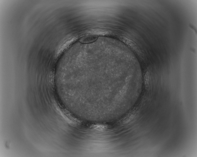 X0000102340352200808221636