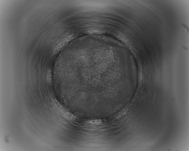 X0000102340353200808221636