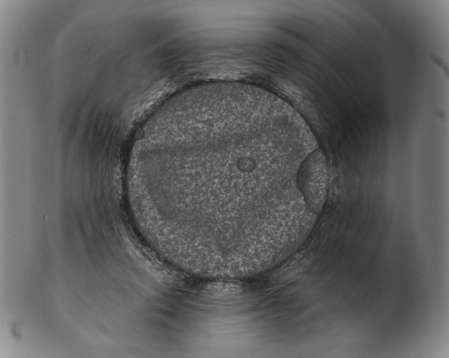 X0000102340354200808221636