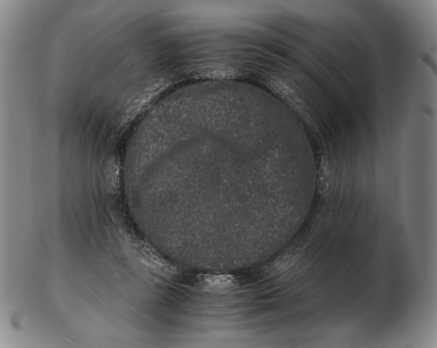 X0000102340355200808221636