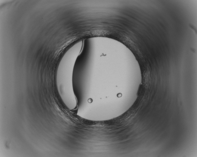 X0000102340356200808221636