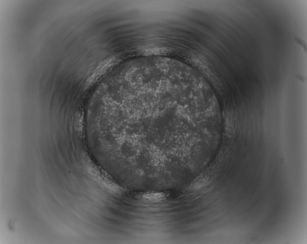 X0000102340357200808221636