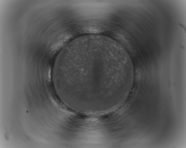 X0000102340358200808221636