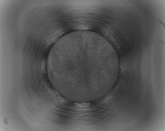 X0000102340359200808221636