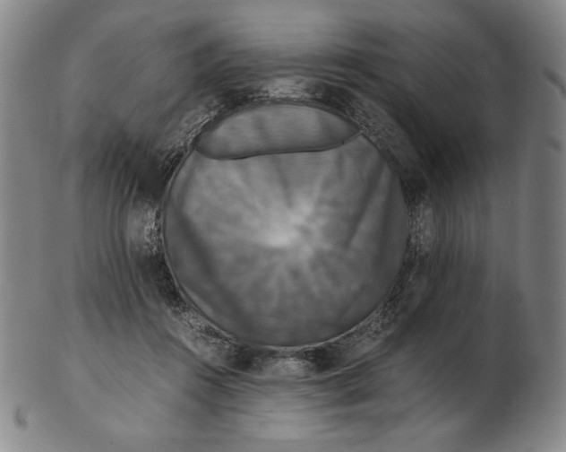 X0000102340360200808221636