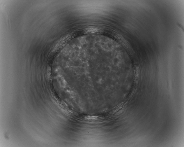 X0000102340361200808221636