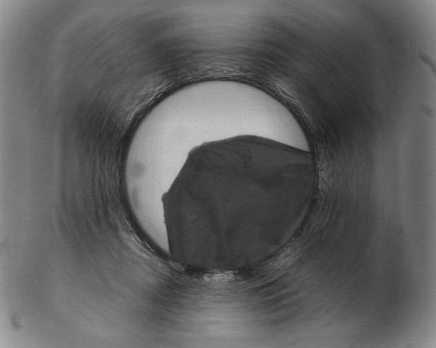 X0000102340362200808221636