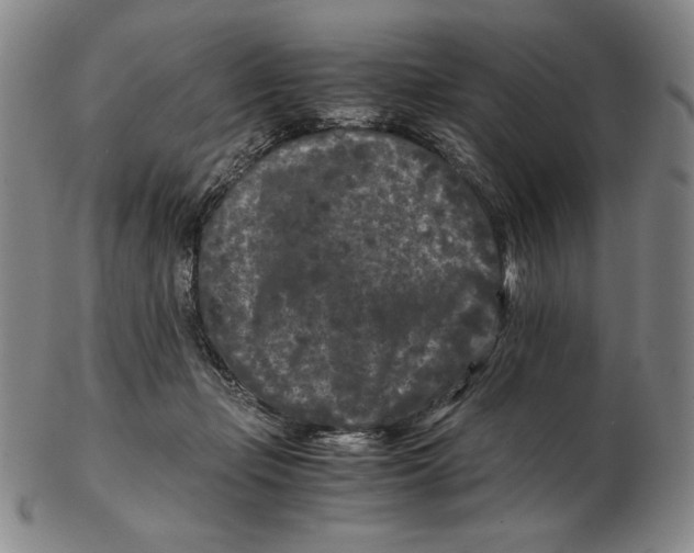 X0000102340365200808221636