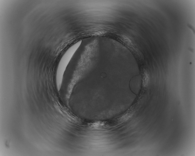 X0000102340366200808221636