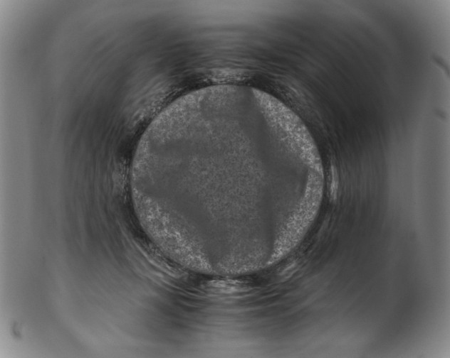 X0000102340367200808221636