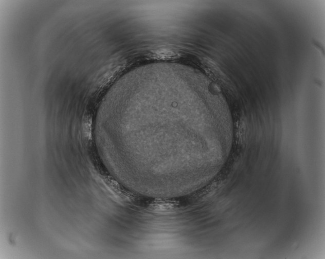 X0000102340368200808221636