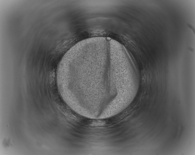 X0000102340369200808221636