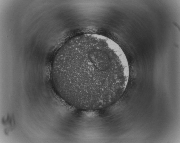 X0000102340370200808221636