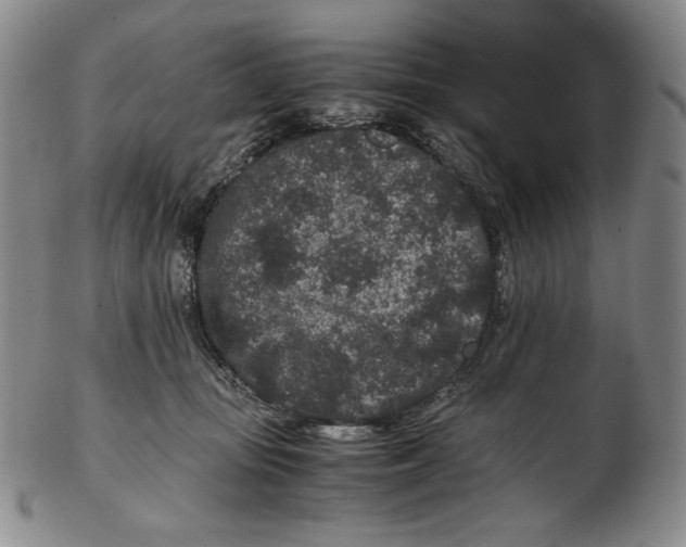 X0000102340371200808221636