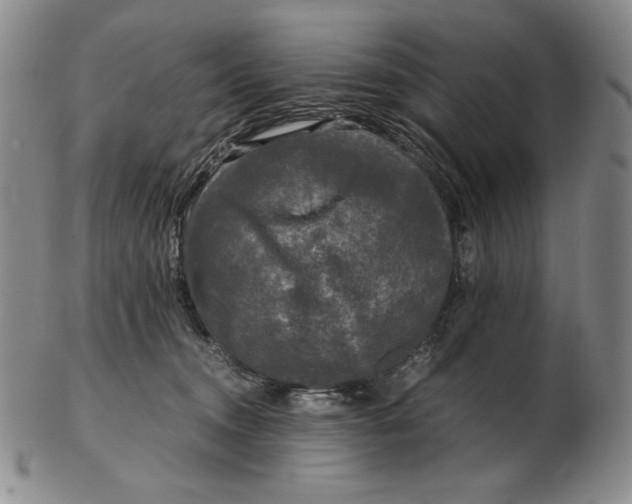 X0000102340372200808221636