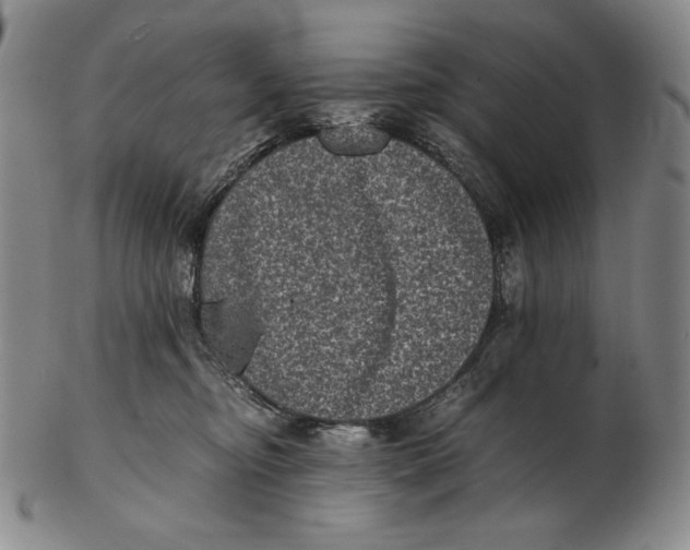 X0000102340374200808221636