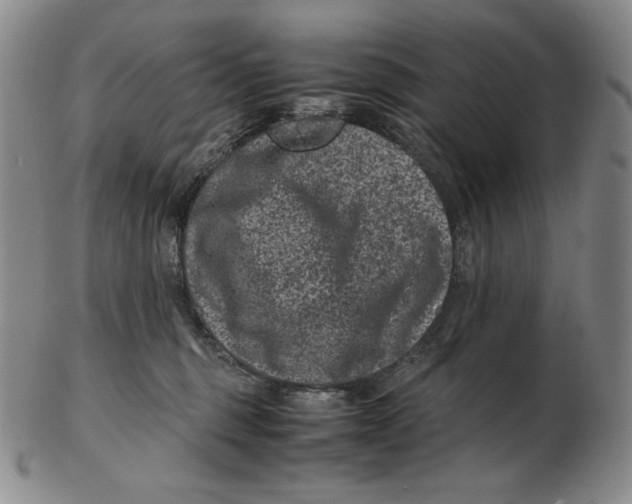 X0000102340375200808221636