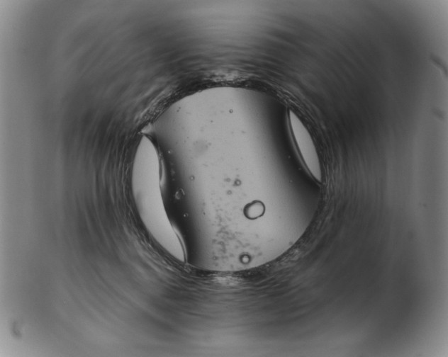 X0000102340376200808221636