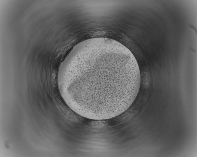 X0000102340378200808221636