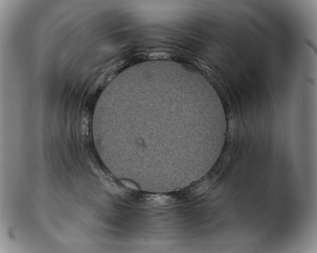 X0000102340379200808221636