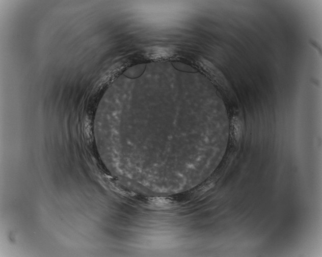 X0000102340380200808221636