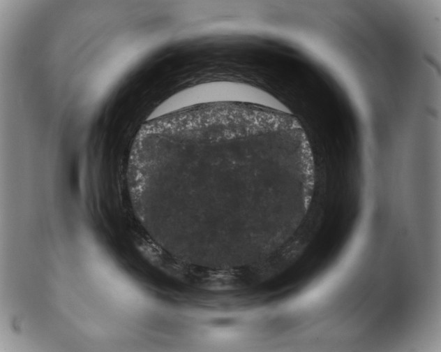 X0000102340382200808221636