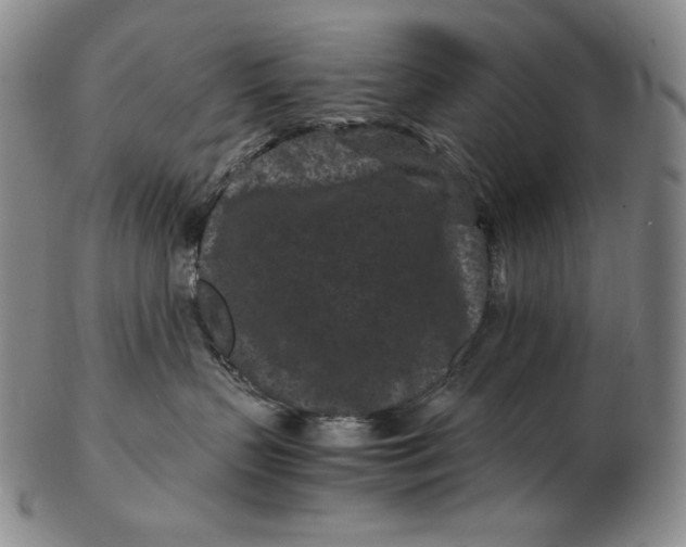 X0000102340383200808221636