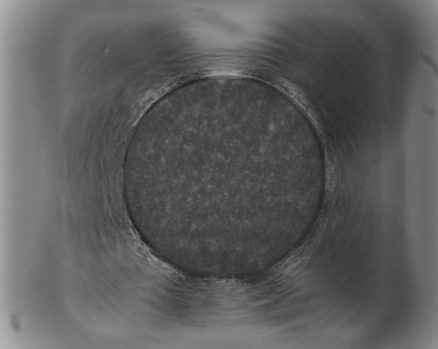 X0000102340385200808221635