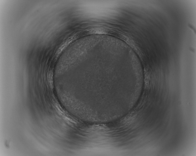 X0000102340386200808221635