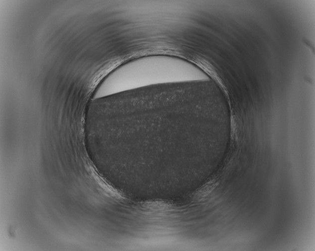 X0000102340389200808221635