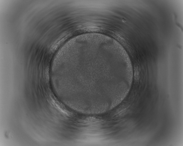 X0000102340390200808221635