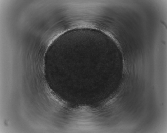 X0000102340391200808221635