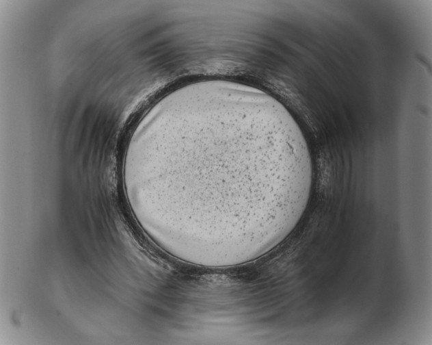 X0000102340392200808221635