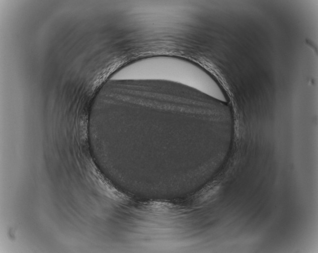 X0000102340393200808221635