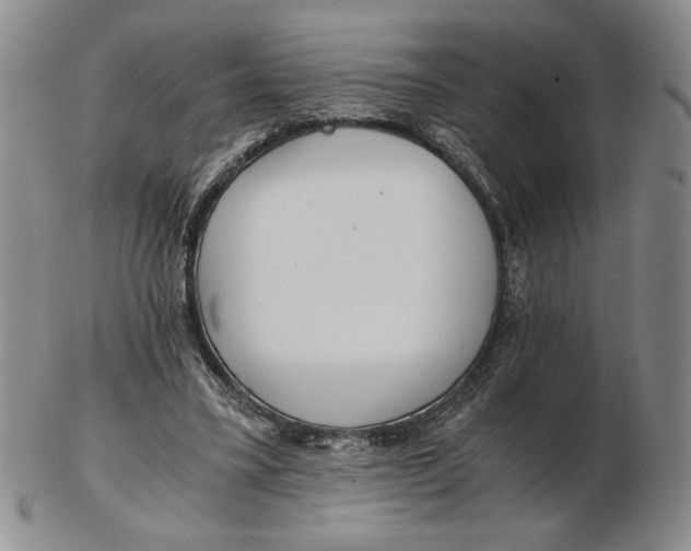 X0000102340395200808221635